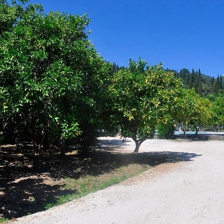 Orange Grove Suites Benitses  Extérieur photo